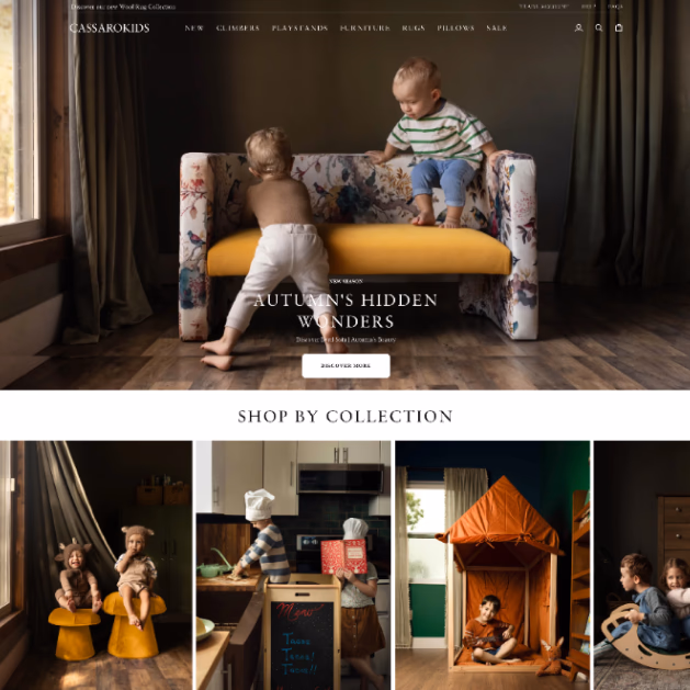 Cassaro Home website